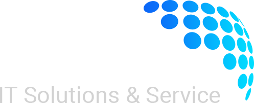 TECHNOLOGY SOLUTIONS COMPANY LLC