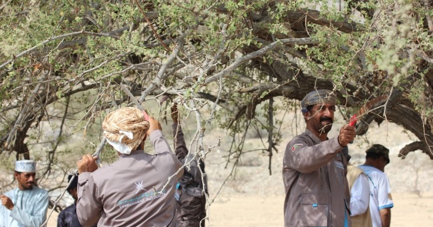 Campaign Held in North ASharqiyah Governorate to Clean Al Saleel Nature Reserve
